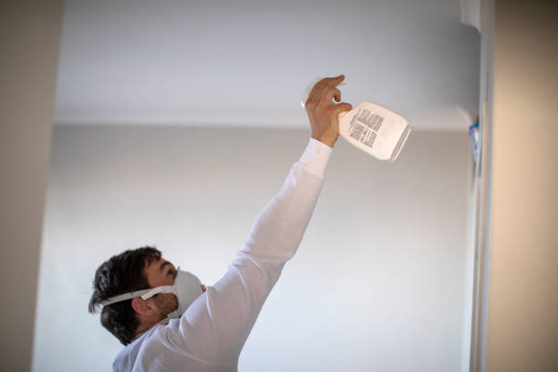 Best Professional Mold Removal  in Hanamaulu, HI