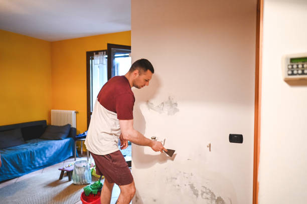 Office Mold Removal Services in Hanamaulu, HI